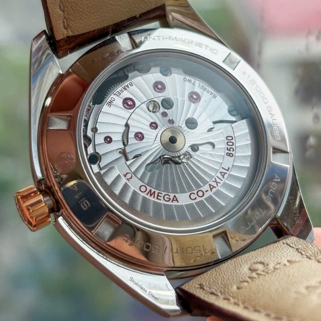 Omega Seamaster AT 41.5mm Bezel 18k - Dial trắng kẻ sọc 3