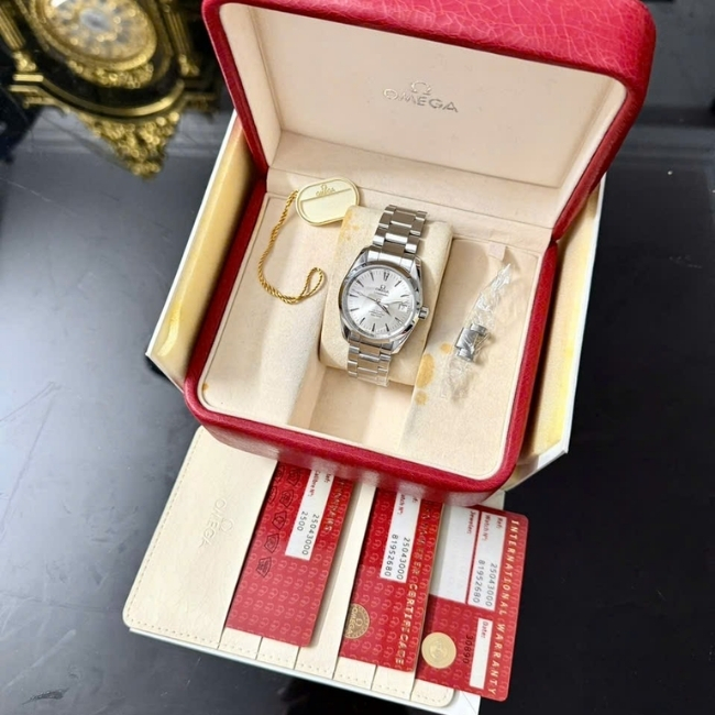 Omega Seamaster Aqua Terra 2504.30.00 Co-Axial 36.2 mm 1