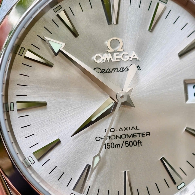 Omega Seamaster Aqua Terra 2504.30.00 Co-Axial 36.2 mm 10