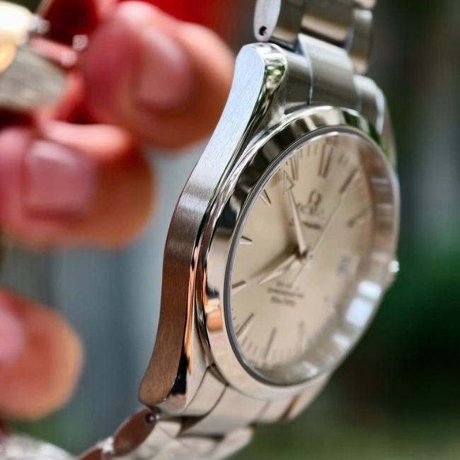 Omega Seamaster Aqua Terra 2504.30.00 Co-Axial 36.2 mm 11