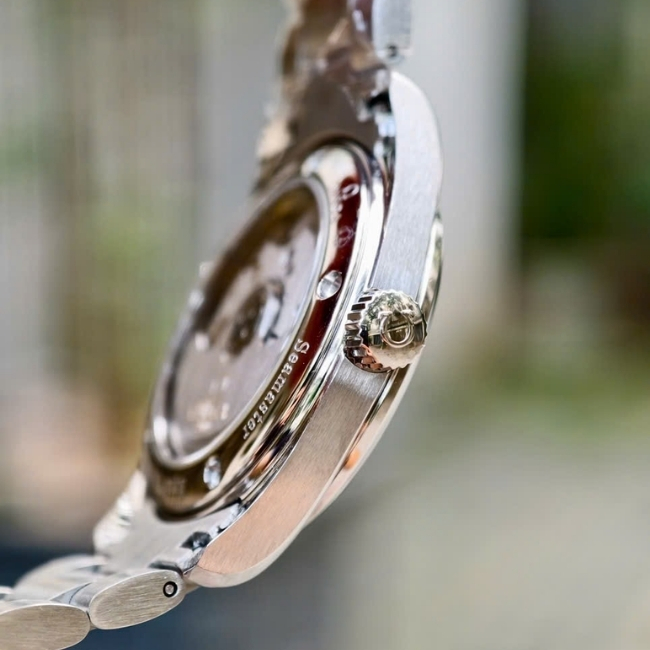 Omega Seamaster Aqua Terra 2504.30.00 Co-Axial 36.2 mm 12