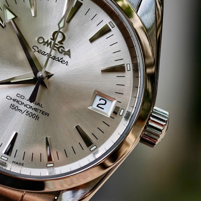 Omega Seamaster Aqua Terra 2504.30.00 Co-Axial 36.2 mm 9