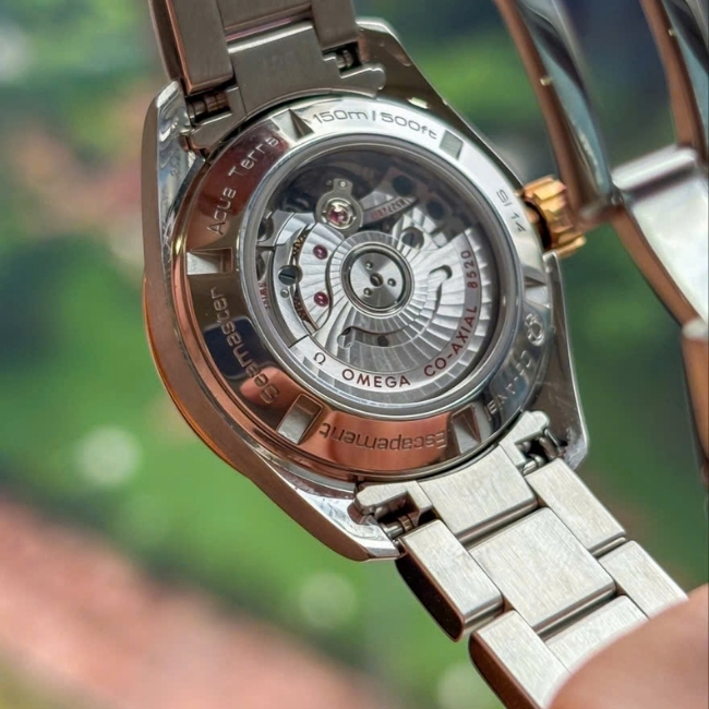 Omega Seamaster Aqua Terra MOP Bezel 18k diamond - Dial xà cừ vân gỗ 30mm 5