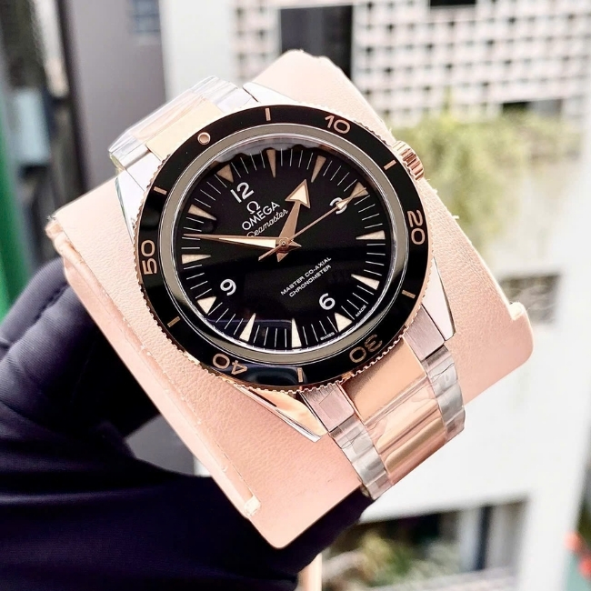 Omega Seamaster 300 Master Coaxial Black Dial Demi 18k - 41mm 6