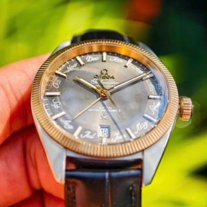 Omega Globemaster lịch thường niên Dial bát quái 41mm Demi 18K Sedna Gold 2