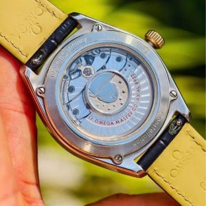 Omega Globemaster lịch thường niên Dial bát quái 41mm Demi 18K Sedna Gold 3