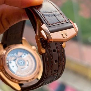 Omega Seamaster Planet Ocean 600M Sedna Gold 18K 215.63.40.20.13.001 56