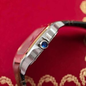 Cartier Santos W2SA0016 Demi size M bản dây da 2